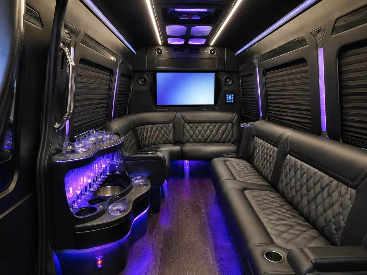 14 passenger sprinter limousine interior